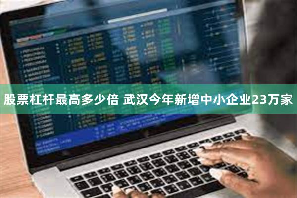 股票杠杆最高多少倍 武汉今年新增中小企业23万家
