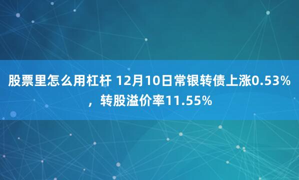 股票里怎么用杠杆 12月10日常银转债上涨0.53%，转股溢价率11.55%