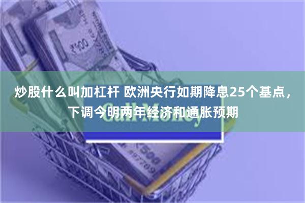 炒股什么叫加杠杆 欧洲央行如期降息25个基点，下调今明两年经济和通胀预期