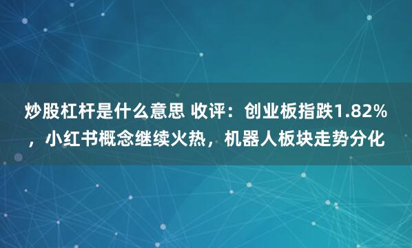 炒股杠杆是什么意思 收评：创业板指跌1.82%，小红书概念继续火热，机器人板块走势分化