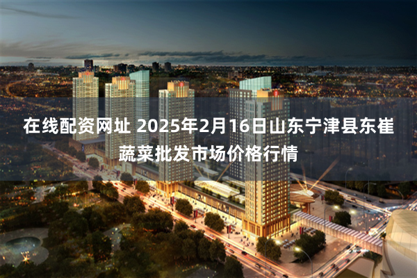 在线配资网址 2025年2月16日山东宁津县东崔蔬菜批发市场价格行情