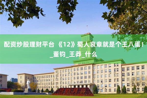 配资炒股理财平台 《12》蜀人哀章就是个王八蛋！_董钧_王莽_什么