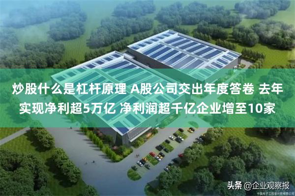 炒股什么是杠杆原理 A股公司交出年度答卷 去年实现净利超5万亿 净利润超千亿企业增至10家