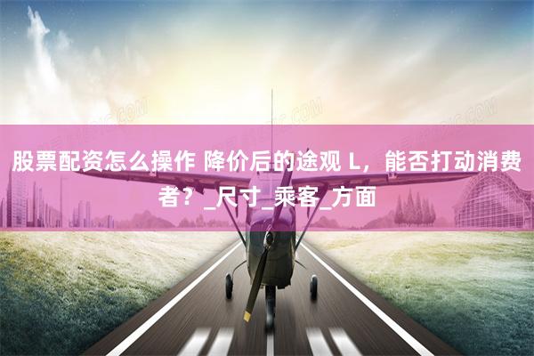 股票配资怎么操作 降价后的途观 L，能否打动消费者？_尺寸_乘客_方面