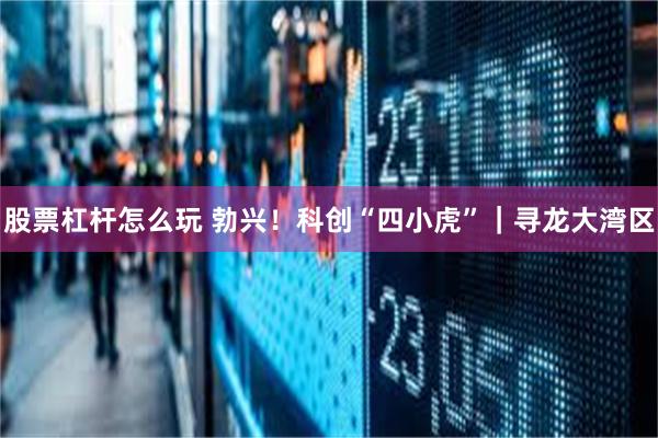 股票杠杆怎么玩 勃兴！科创“四小虎”｜寻龙大湾区