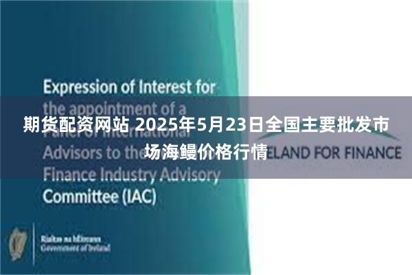 期货配资网站 2025年5月23日全国主要批发市场海鳗价格行情